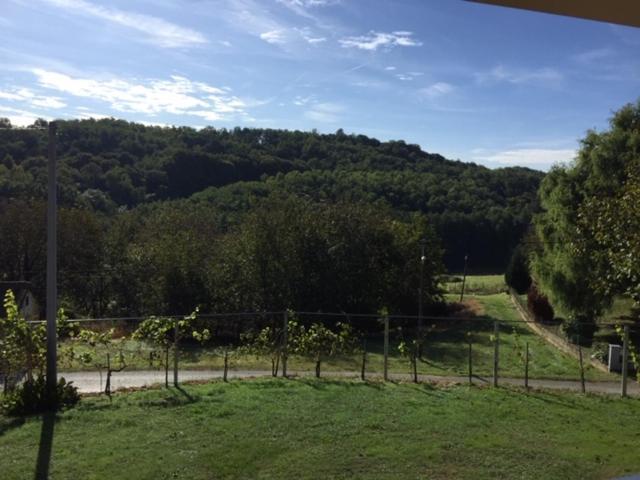 Kuca Za Odmor "Nedeljko"/ Holliday Hause "Nedeljko" Villa Sveti Martin Na Muri Exterior foto