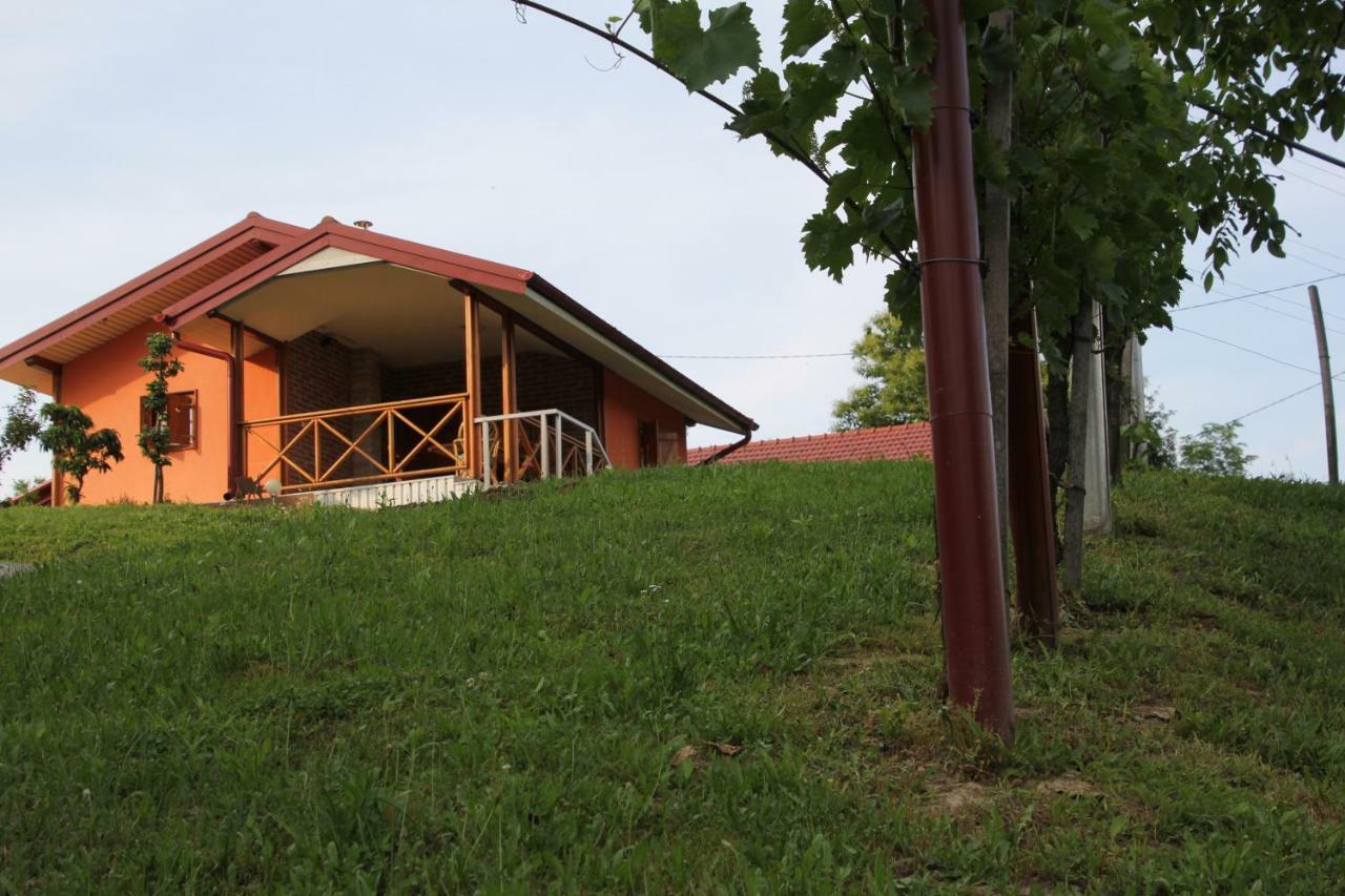 Kuca Za Odmor "Nedeljko"/ Holliday Hause "Nedeljko" Villa Sveti Martin Na Muri Exterior foto